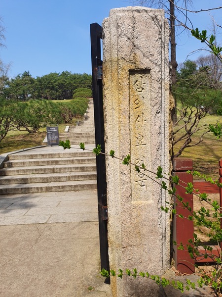 효창동에서 청파동까지