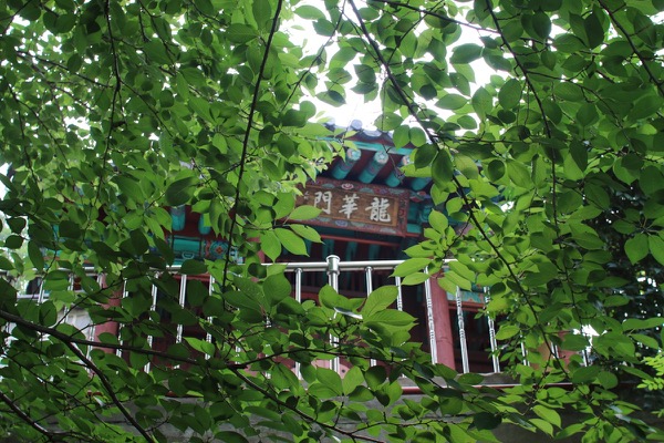 동빙고부군당과 홍무대왕김유신사당