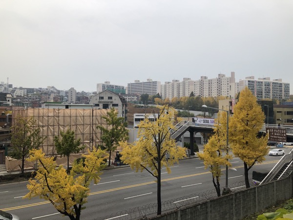 유엔사부지 전경